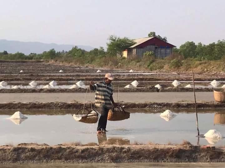 Salt Field Glamping Ξενοδοχείο Kampot Εξωτερικό φωτογραφία