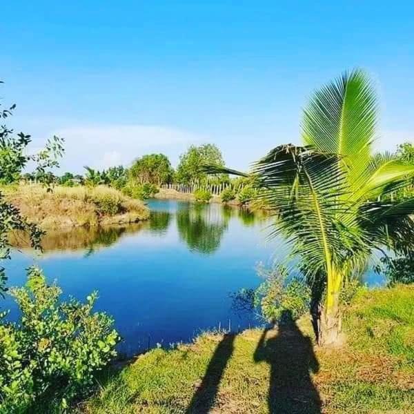 Salt Field Glamping Ξενοδοχείο Kampot Εξωτερικό φωτογραφία